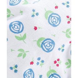 Babyhug 100% Cotton Panties Printed Pack of 3 - Multicolor