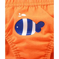 Babyhug 100% Cotton Knitted Briefs All Over Printed Pack of 5 - Multicolour