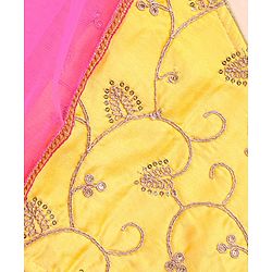 Babyhug Sleeveless Choli & Lehenga With Dupatta Embroidered - Fuschia