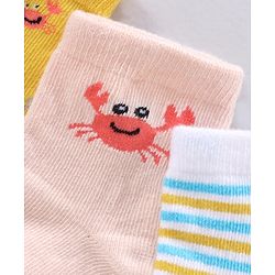Cute Walk by Babyhug Ankle Length Antibacterial Socks Pack Of 3 - Multicolor