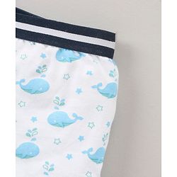 Babyhug 100% Cotton Briefs Pack of 3 - Multicolor