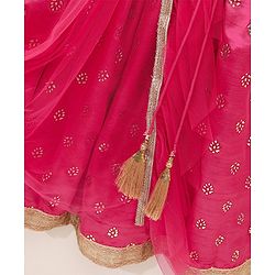 Babyhug Sleeveless Choli & Lehenga Set With Dupatta & Embellishment - Fuchsia Pink