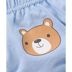 Babyhug 100% Cotton Knit Anti Bacterial Briefs Striped & Bear Print Pack of 3 - Blue & Green