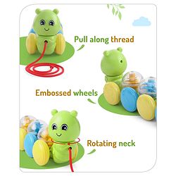 Babyhug Premium Caterpillar Pull Along Toy for Kids- Green| Pull String Plastic Pre-School Toys for Babies| Encourage Walking, Build Gross Motor Skills and Hand-Eye Coordination| BIS Certified| 18+ Months.
