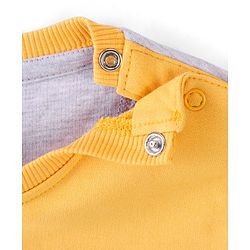 Babyhug 100% Cotton Knit Full Sleeves T-Shirt With Panda Graphics -Grey & Yellow