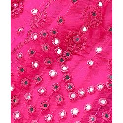 Babyhug Sleeveless Net Mirror Emroidered Lehenga Choli Set with Dupatta -Fuschia