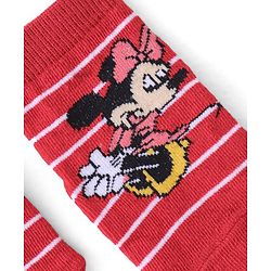 Cute Walk by Babyhug Terry Knit Ankle Length Anti Bacterial Socks Minnie Mouse Design - Multicolour