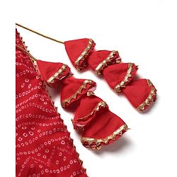 Babyhug Cotton Woven Sleeveless Embroidered Choli With Printed Lehenga & Dupatta Set - Red