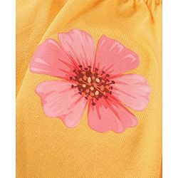 Babyhug 100% Cotton Knit Floral & Polka Dots Printed Antibacterial Bloomers Pack of 3 - Multicolour
