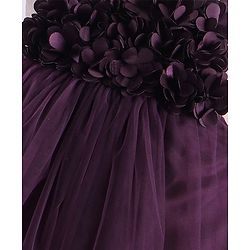 Babyhug Woven Singlet Sleeve Fit and Flare Party Frock with Floral Applique - Wine