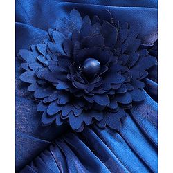 Babyhug Woven Half Puffed Sleeves Fit & Flared Pleated Party Frock with Floral Applique - Navy Blue
