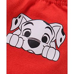 Babyhug Disney Single Jersey Knit Briefs with Striped & 101 Dalmatians Graphics Pack of 3 - Multicolour