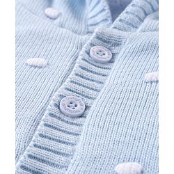 Babyhug Knit Full Sleeves Hooded Sweater with Ear Applique - Blue