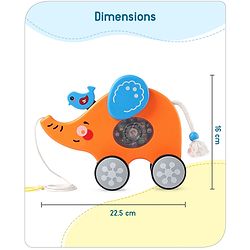 Babyhug Premium Battery Operated Elephant Pull Along Toy With Music & Lights - Orange