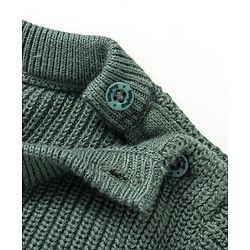 Babyhug Knit Full Sleeves Pullover Sweater with Lion Design - Green