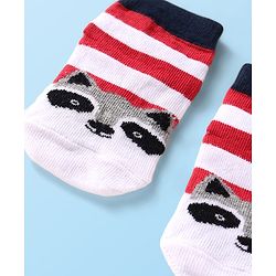 Cutewalk by Babyhug Anti-Bacterial Ankle Length Anti-Skid Sock with Raccoon Design - Black & Red
