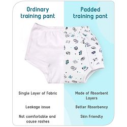 Babyhug 100% Cotton Reusable Sports Theme Print Potty Training Pull Up Padded Pants Pack of 1 - Size 0 (9 - 12 months) - Grey