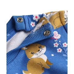 Babyhug Cotton Knit Full Sleeves Sweatshirts With Bunny Graphics Pack of 2 - Pink & Blue