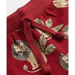 Babyhug Cotton Single Jersey Knit Mid Thigh Short with Lion Print Pack of 3 - Green Beige Maroon