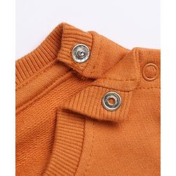 Babyhug 100% Cotton Knit Heavy Gauge Sweatshirt with Full Sleeves and Bag Print in Rust Orange