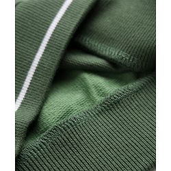 Babyhug 100% Cotton Ottoman Heavy Gauge Knit Front Open Hooded Sweatshirt with Full Raglan Sleeves and Awesome Today Print - Green