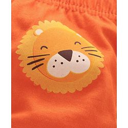 Babyhug 100% Cotton Brief Star Print Pack of 3 - White Orange