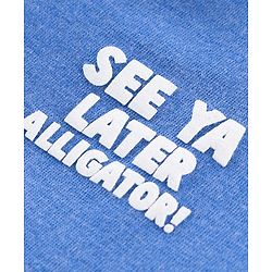 Babyhug Half Sleeves Anti Bacterial Biowashed Tee - Blue