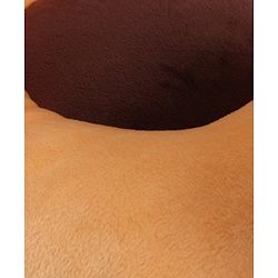 Babyhug Lion Shaped Soft Seat - (Color May Vary)