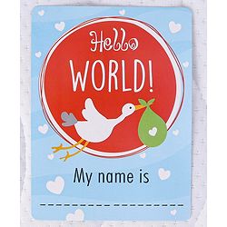 Babyhug Baby Milestone Cards - English