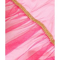 Babyhug Half Sleeves Sequined Choli and Mesh Lehenga Set with Ruffles Net Dupatta - Fuschia Navy Blue