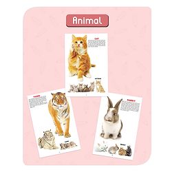 Babyhug Big Picture Early Learning Books Pack Of 4 - English