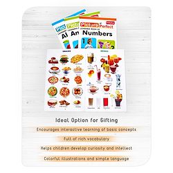 Babyhug Big Picture Early Learning Books Pack Of 4 - English