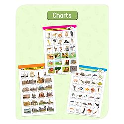 Babyhug Big Picture Early Learning Activity Books Pack Of 4 - English