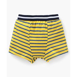 Babyhug Stripe Briefs Pack of 3 - Yellow Red Royal Blue