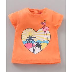 Babyhug Half Sleeves Tee With Graphics Pack Of 3 - Multicolour