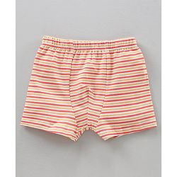 Babyhug Cotton Briefs Striped & Printed Pack of 3 - Multicolour