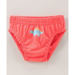Babyhug Antibacterial Briefs Dinosaurs Print Pack of 3 - Multicolour