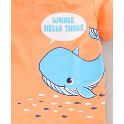 Babyhug Half Sleeves T-Shirts Dolphin Print Pack of 3 - Multicolor
