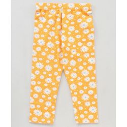 Babyhug Knit Full Length Leggings Floral Print Pack of 3 - Pink Blue Yellow