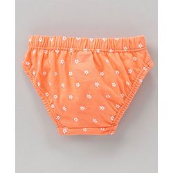 Babyhug 100% Cotton Panties Floral Print Pack of 7 - Multicolour