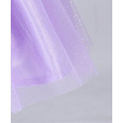 Babyhug Sleeveless Party Wear Frock With Net Detailing & Floral Applique- Purple