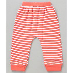 Babyhug Full Length Printed Diaper Leggings Pack of 3 - Multicolor