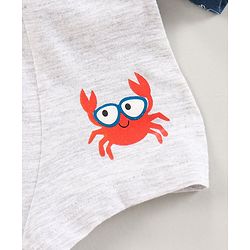 Babyhug 100% Cotton Knitted Briefs All Over Printed Pack of 3 - Blue Red White