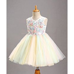 Babyhug Sleeveless Party Wear Tutu Frock Corsage Applique - Multicolor