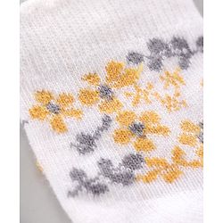 Cute Walk by Babyhug Cotton Knit Regular Length Antibacterial Socks Design Pack Of 3 - Multicolour