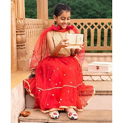 Babyhug Sleeveless Choli & Flared Lehenga Set With Dupatta - Red