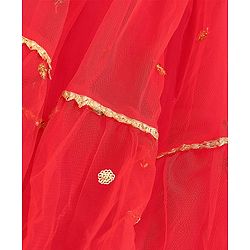 Babyhug Sleeveless Choli & Flared Lehenga Set With Dupatta - Red