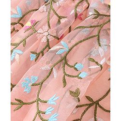 Babyhug Sleeveless Floral Embroidery Party Frock - Peach