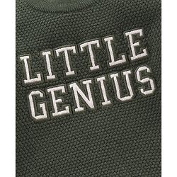 Babyhug Full Sleeves Sweater Text Design- Green