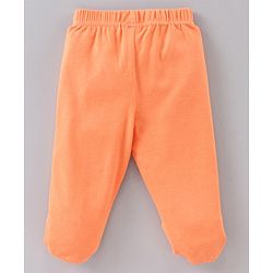 Babyhug Cotton Knit Striped & Bear Printed Bootie Leggings Pack of 3 - Multicolour
